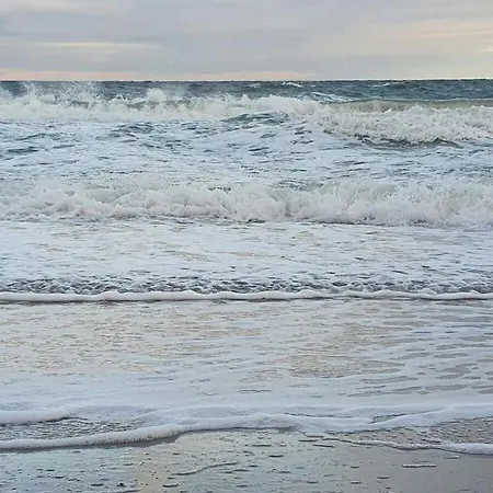 In Fischers Hus * ゲルティング